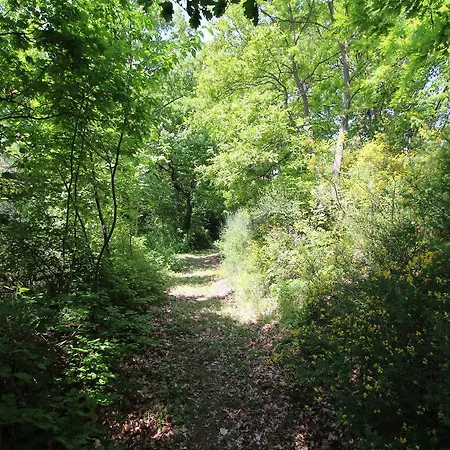 In Marche Near Slopes 度假居 *